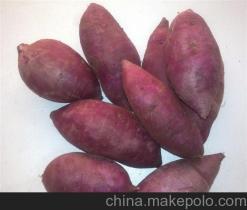 大理州紫薯種植基地銷(xiāo)售廠(chǎng)家價(jià)格供應(yīng)商詳解——冠縣樂(lè)農(nóng)紫薯種植專(zhuān)業(yè)合作社